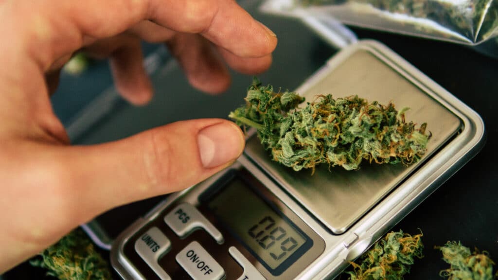 Ordering Limits for California Cannabis Consumers