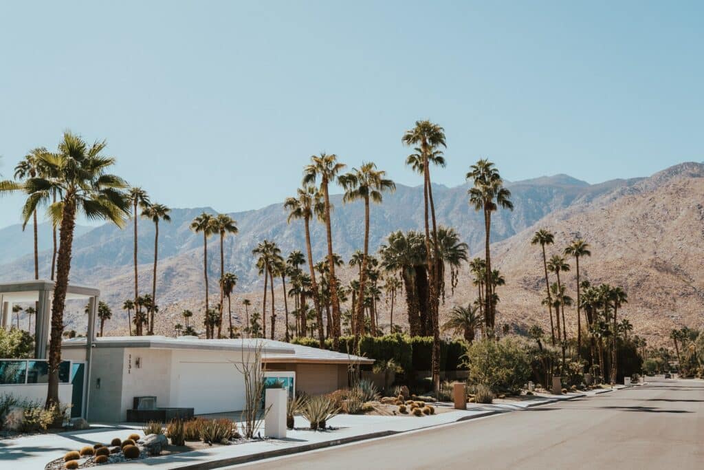 Top Cannabis Products for Delivery in Palm Springs