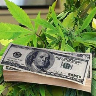 Money and Weed