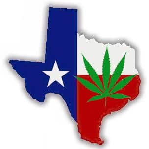 texas norml region conference marijuana cannabis