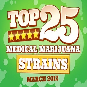 Top 25 Strains March 300