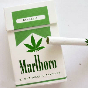 Weed Cigarettes