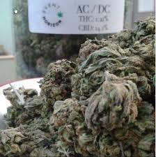 medical marijuana for pain, acdc marijuana