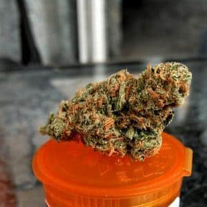 agent orange marijuana strain
