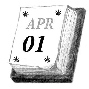april fools day marijuana
