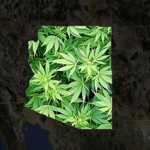 arizona marijuana