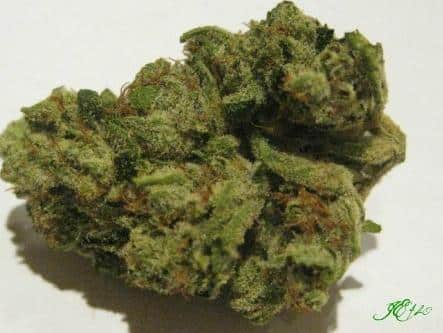 black mamba marijuana strain
