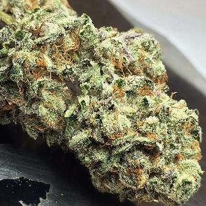 blackberry kush marijuana strain