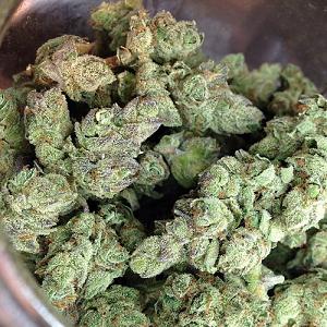 The blue cheese marijuana strain is a favorite among many marijuana enthusiasts.