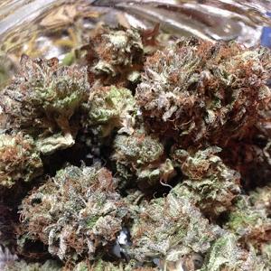Blue Widow Marijuana Strain Review And Pictures
