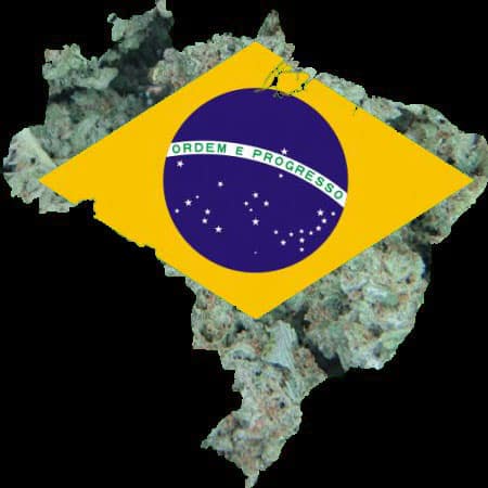 brazil marijuana