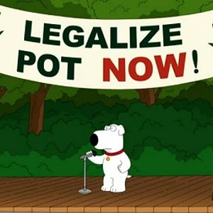 brian legalize marijuana