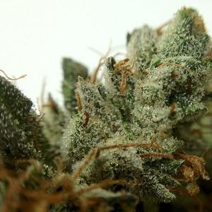 bubba og marijuana strain review