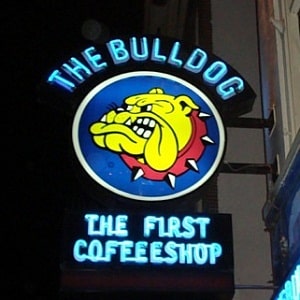 bulldog coffee shop