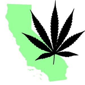 california marijuana