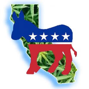 california marijuana democrat