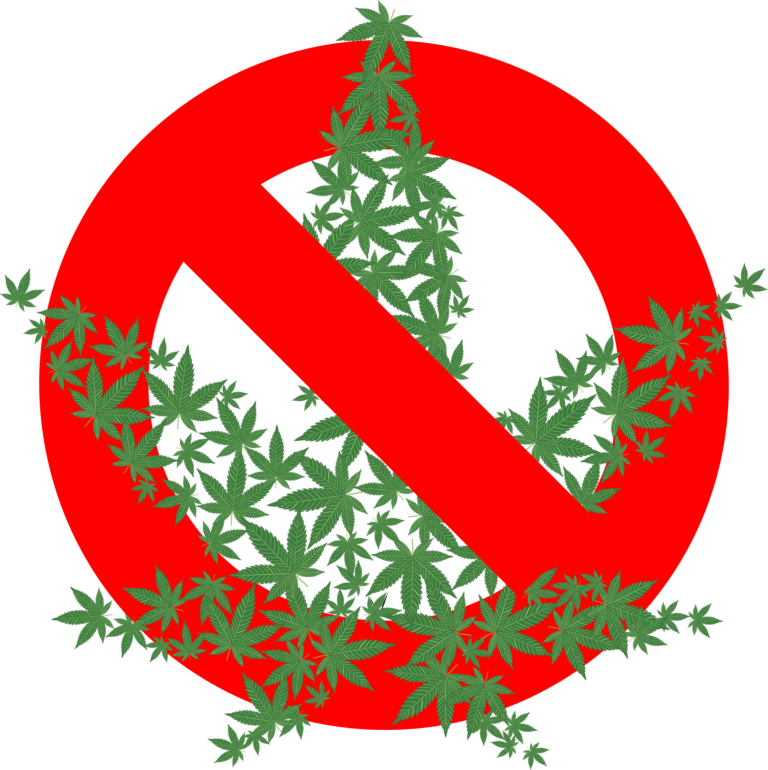 Cannabis has not been illegal in the United States for very long - find out the history of decriminalized cannabis in America.