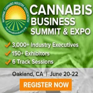 cannabis business summit and expo