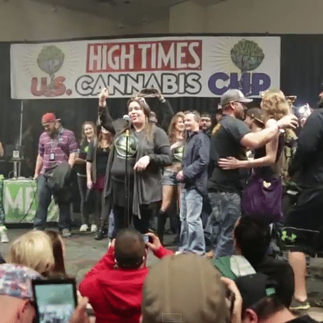 cannabis cup winners