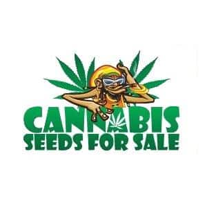cannabis seeds for sale