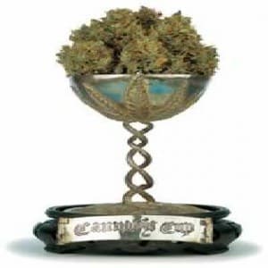 high times cannabis cup denver strains marijuana