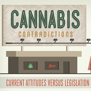 cannabis contradictions
