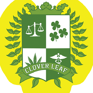clover leaf university marijuana cannabis