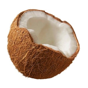 coconut pic