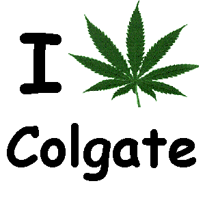 colgate university weed