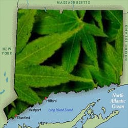 Connecticut cannabis