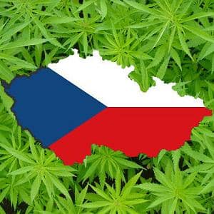 Czech medical marijuana pharmacies