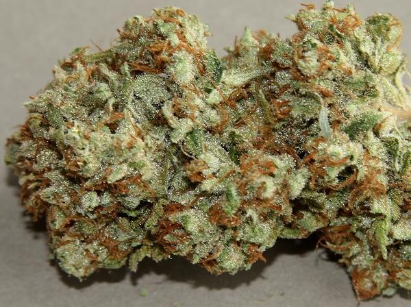 death star marijuana strain