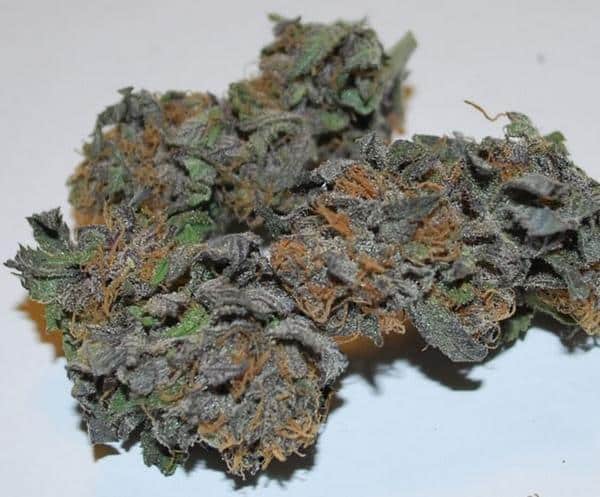 death star marijuana strain