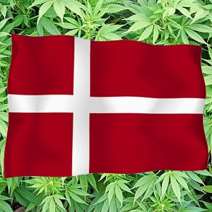 Denmark Marijuana