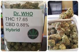 strains for relieving anxiety, dr. who marijuana