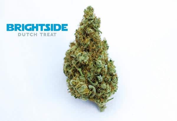 dutch treat marijuana strain brightside pdx