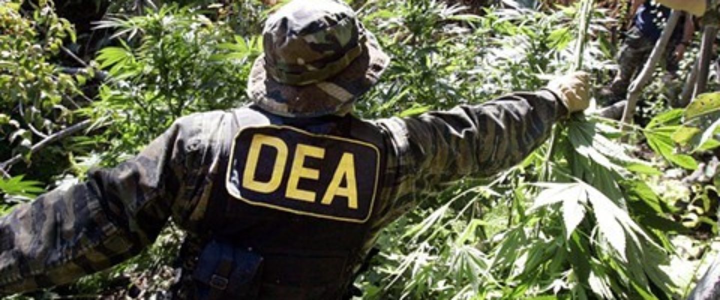DEA Forced to Remove Misleading Cannabis Claims From Website