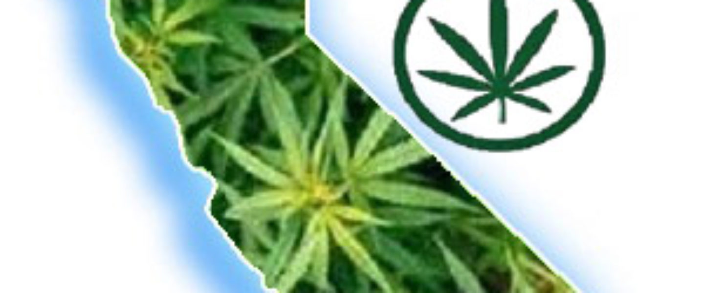 vote for california marijuana initiatives