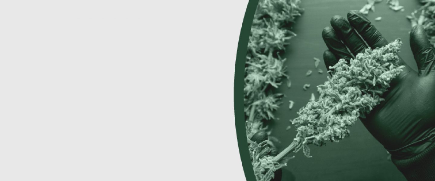 Oaksterdam University