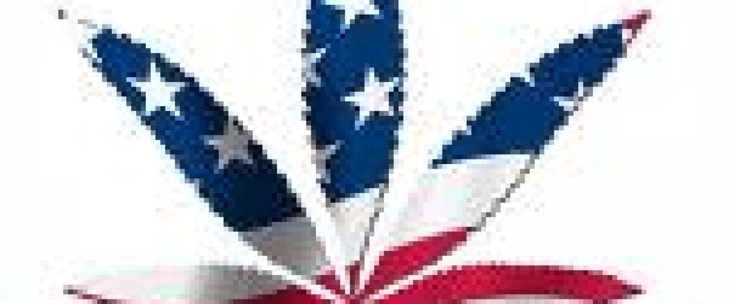 American Potleaf