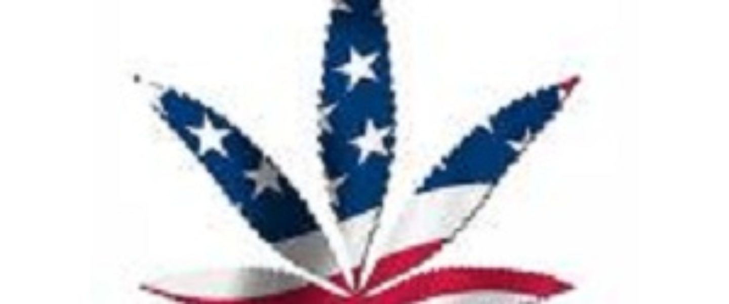 Americans Want Trump to Respect State Cannabis Laws