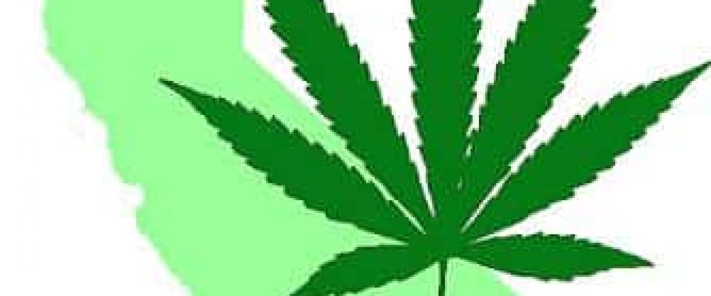 California Marijuana California Marijuana