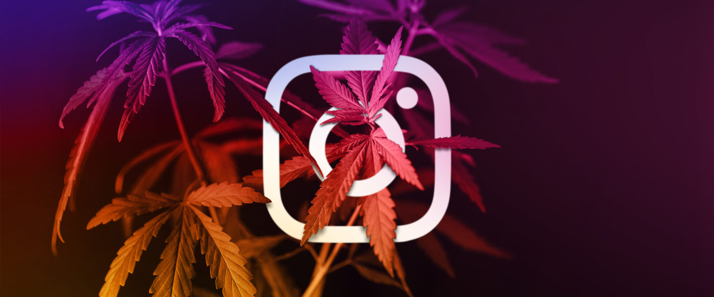 Cannabis and Instagram