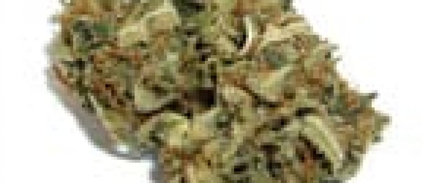 Cotton Candy Kush