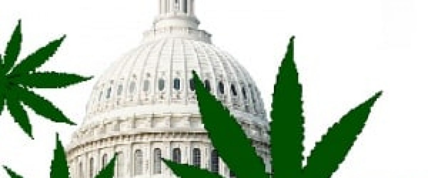 DC Marijuana