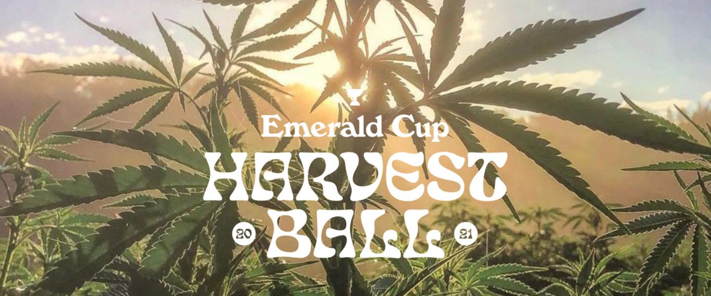 Emerald Cup Harvest Ball 2021 Musical Acts Lineup Announced With Headliner Big Wild