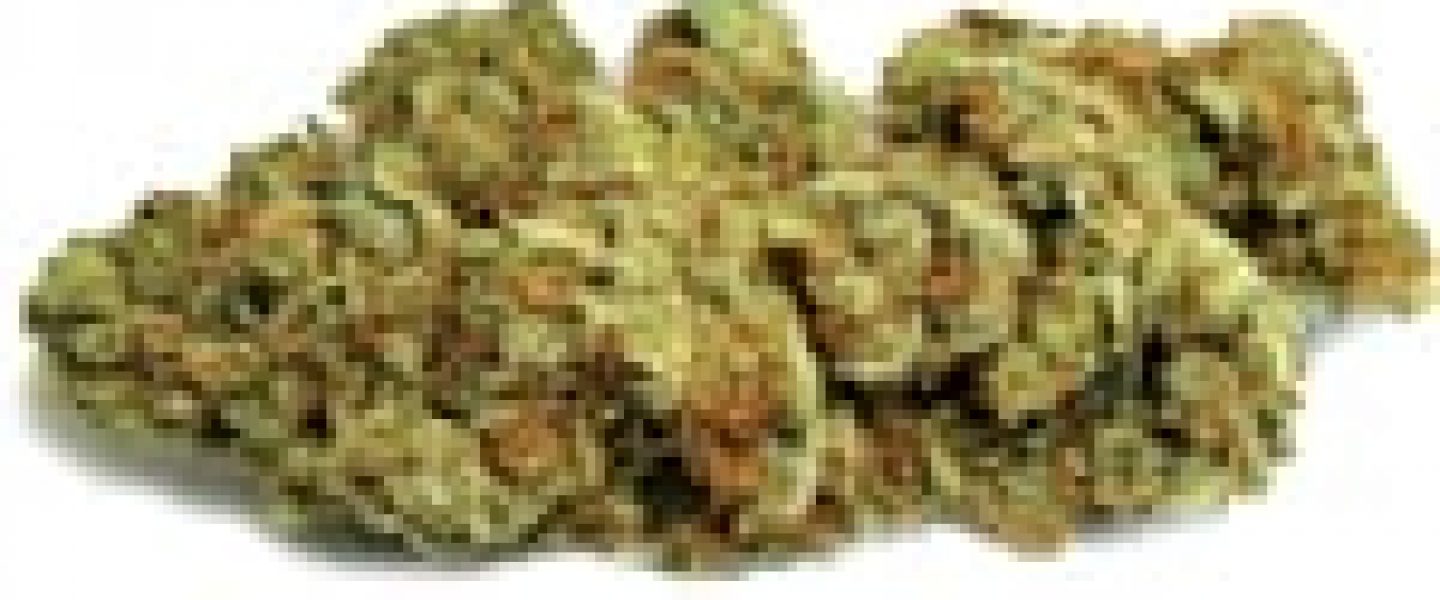 Exclusive OG Marijuana