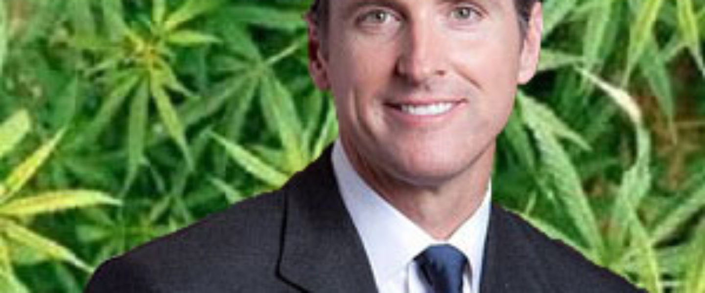 Gavin Newsom marijuana california cadem