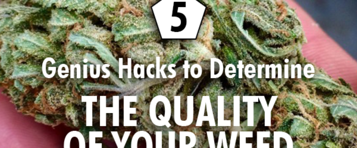 quality of your weed