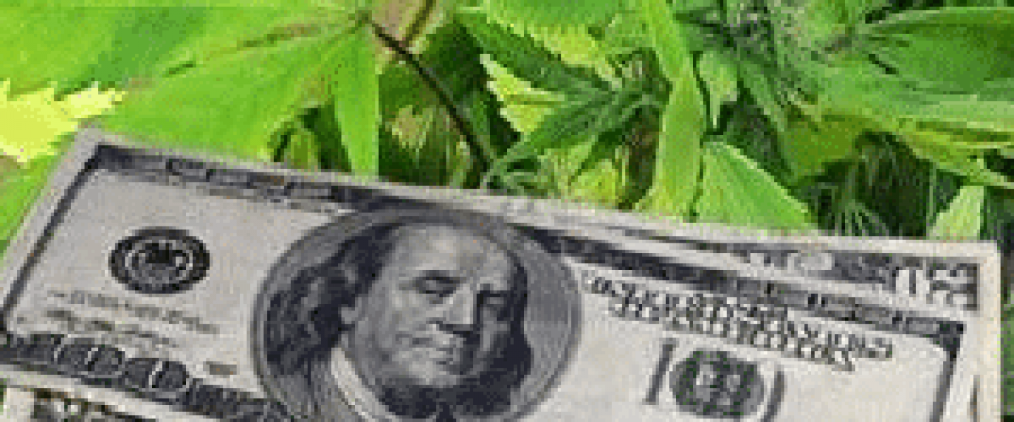 Marijuana Money